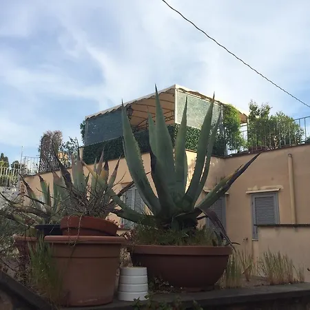 Bed & Breakfast Orange Garden