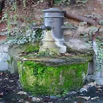 Orange Garden